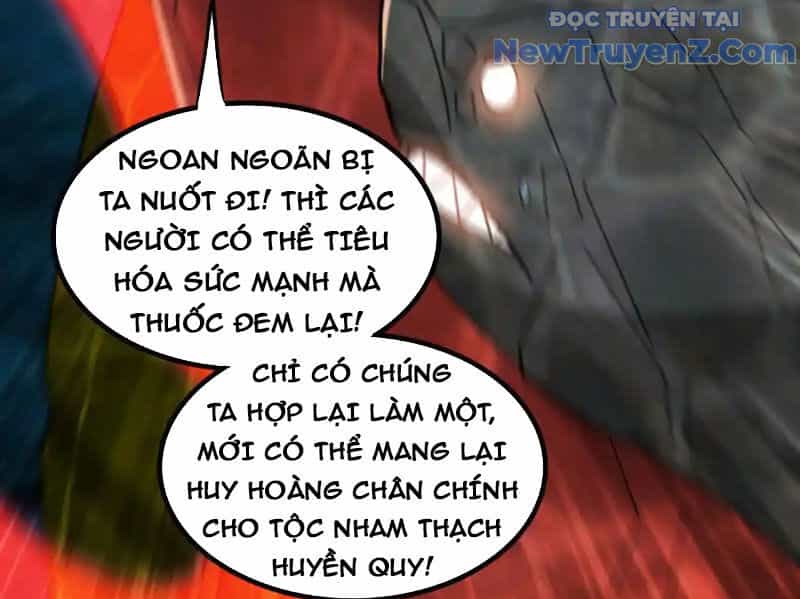 Huyễn Thú Của Ta Có Thể Tiến Hoá Vô Hạn - Chương 31 - ảnh 14