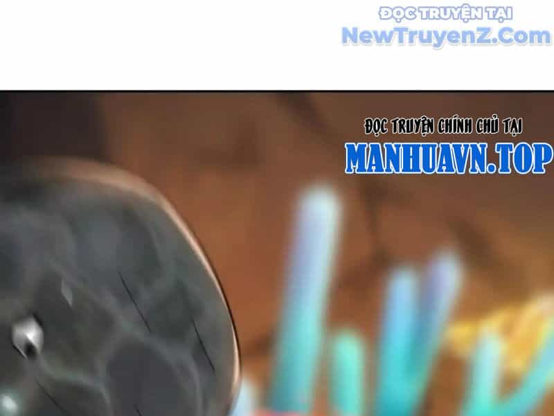 Huyễn Thú Của Ta Có Thể Tiến Hoá Vô Hạn - Chương 32 - ảnh 9
