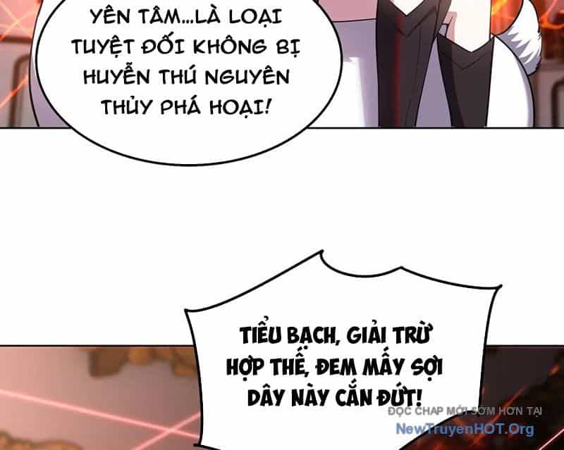 Huyễn Thú Của Ta Có Thể Tiến Hoá Vô Hạn - Chương 47 - ảnh 64