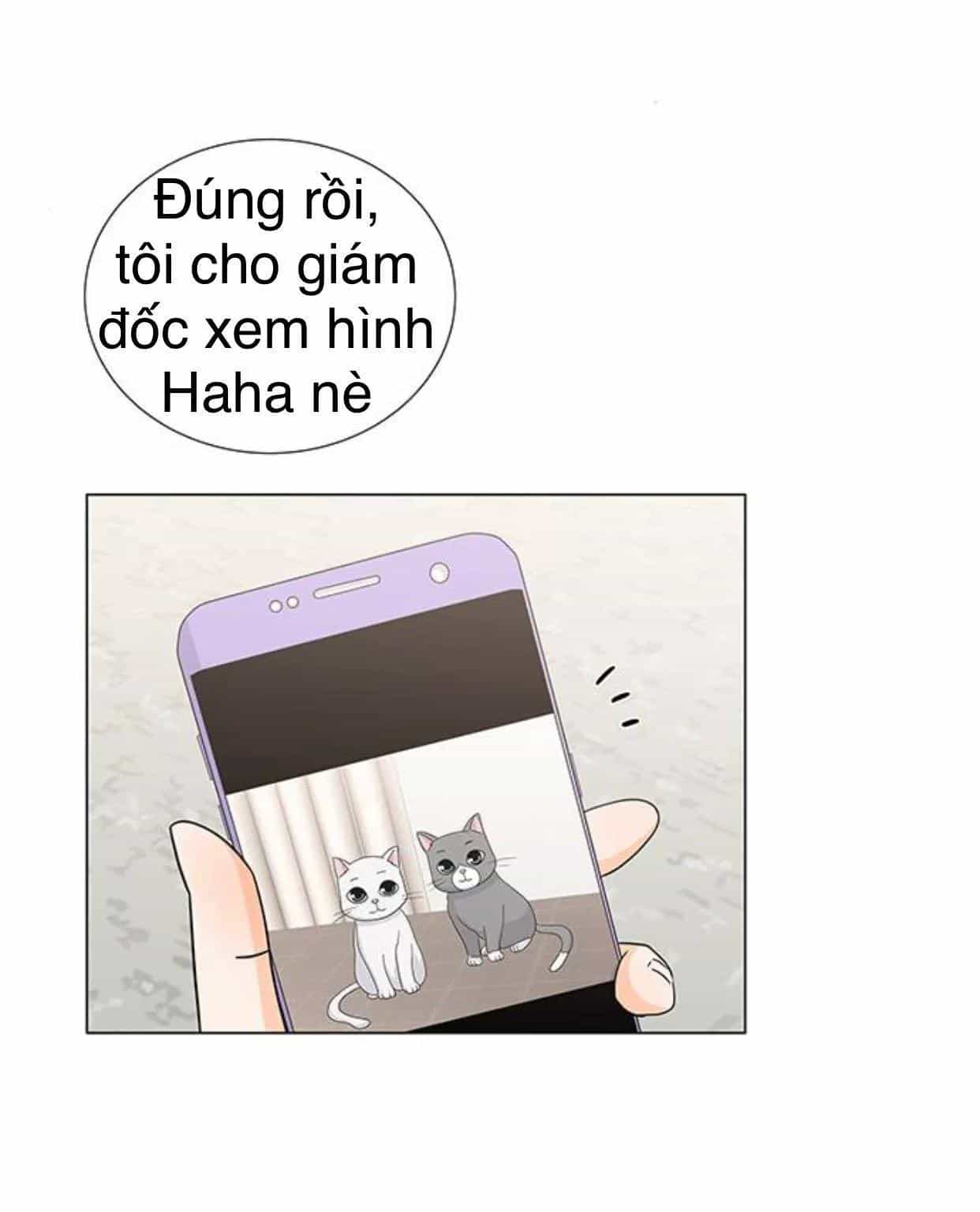 Idol Và Sếp Em Yêu Ai? - Chương 117 - ảnh 17