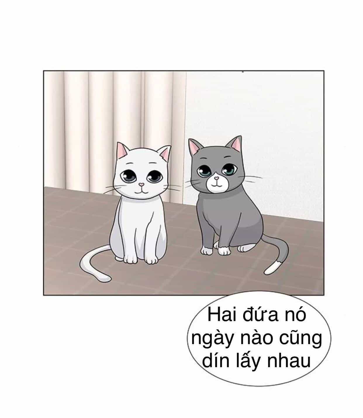 Idol Và Sếp Em Yêu Ai? - Chương 117 - ảnh 18