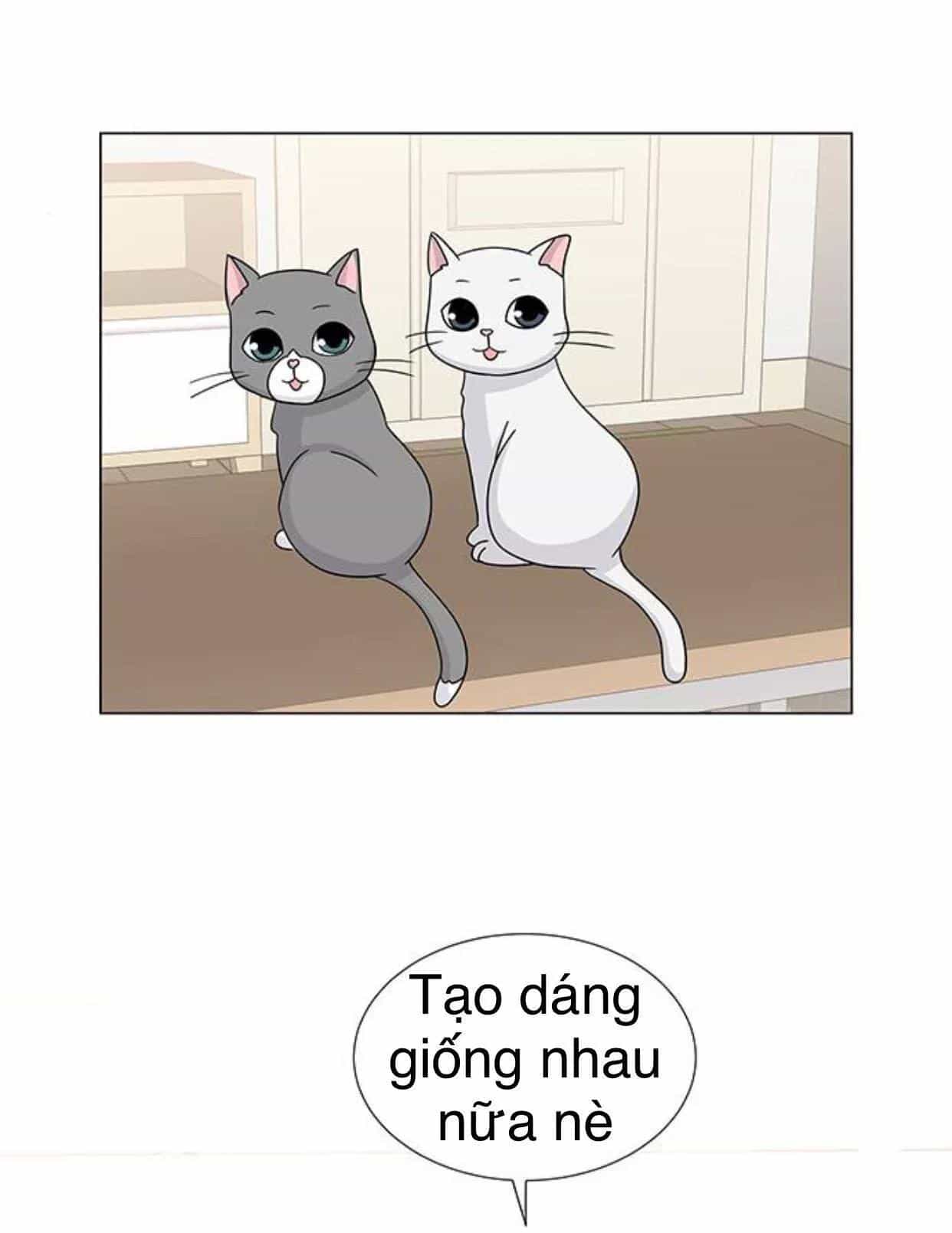 Idol Và Sếp Em Yêu Ai? - Chương 117 - ảnh 19