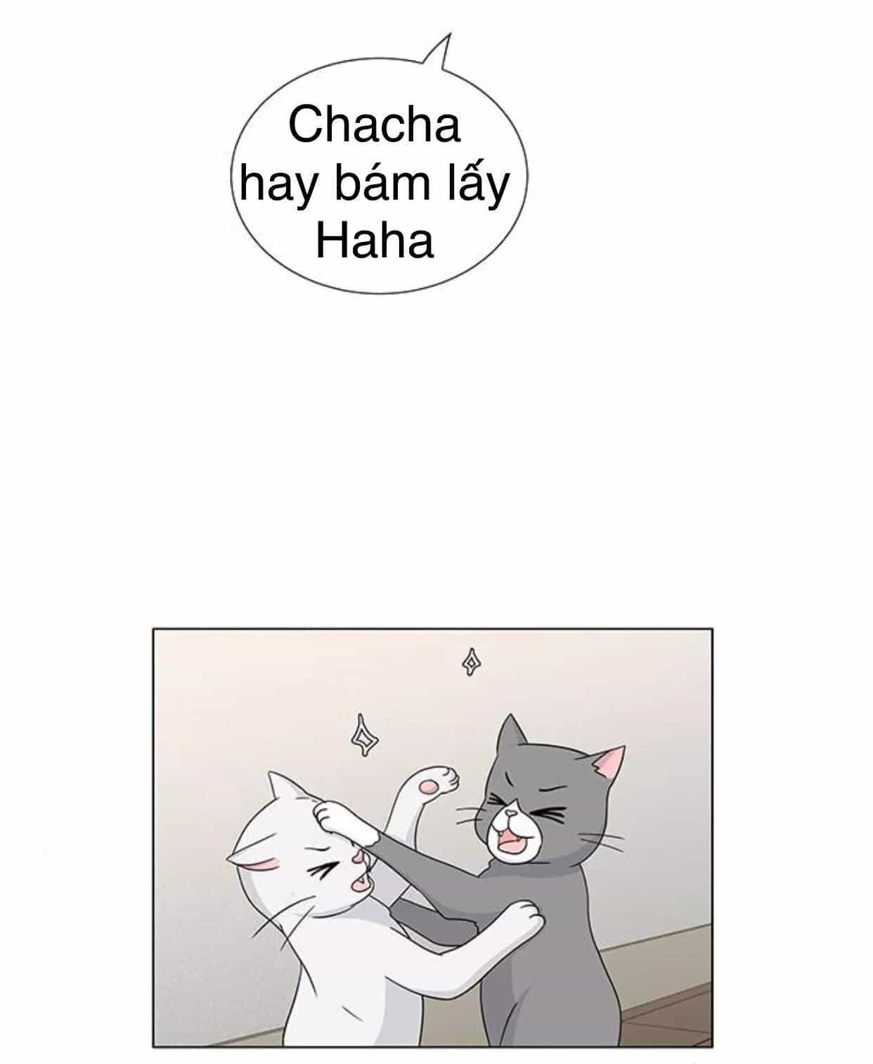 Idol Và Sếp Em Yêu Ai? - Chương 117 - ảnh 24