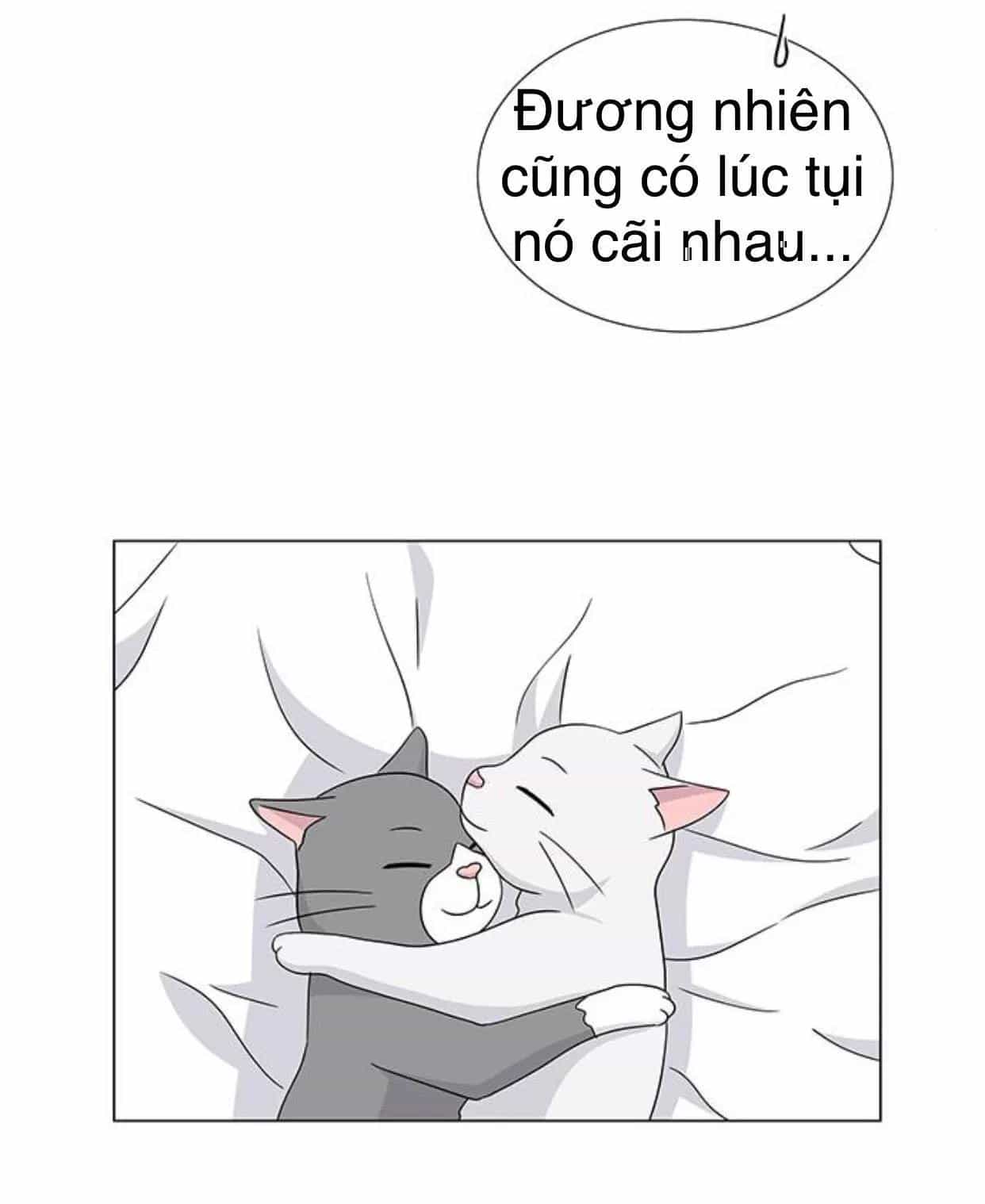 Idol Và Sếp Em Yêu Ai? - Chương 117 - ảnh 25