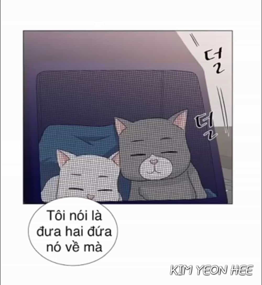 Idol Và Sếp Em Yêu Ai? - Chương 128 - ảnh 22