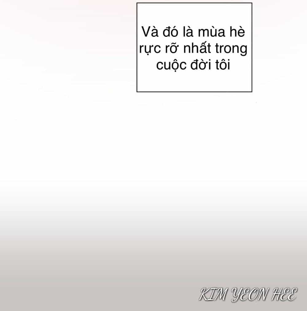 Idol Và Sếp Em Yêu Ai? - Chương 148 - ảnh 44