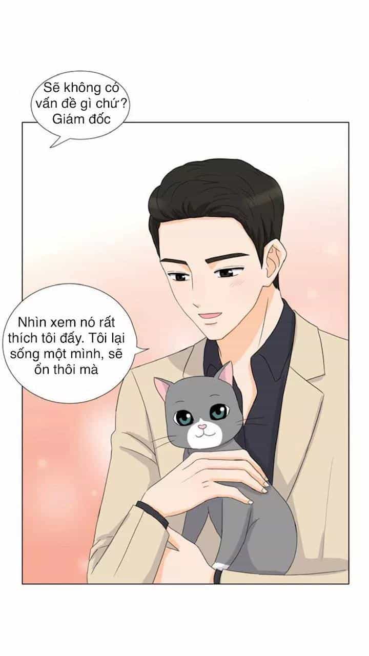 Idol Và Sếp Em Yêu Ai? - Chương 22 - ảnh 11