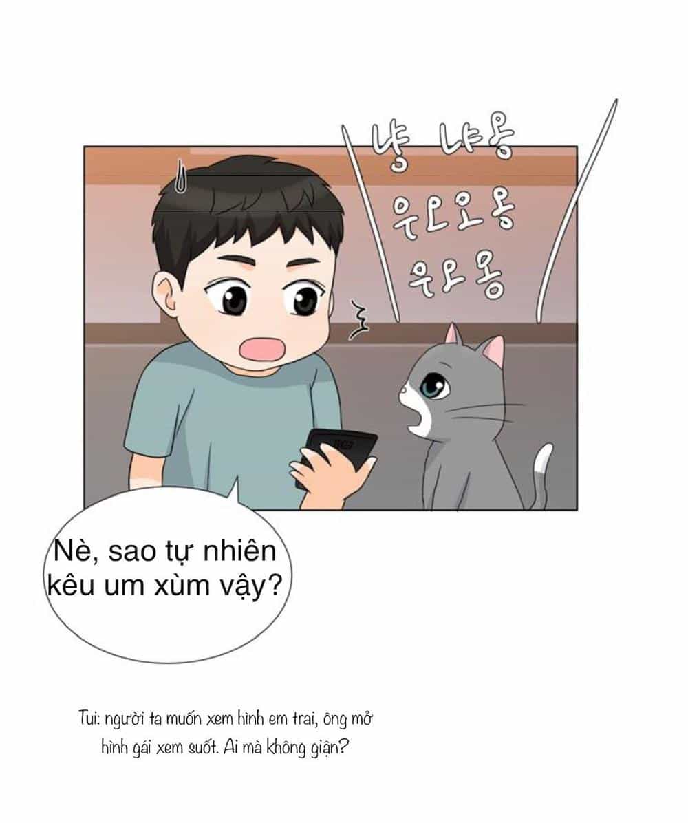 Idol Và Sếp Em Yêu Ai? - Chương 32 - ảnh 11