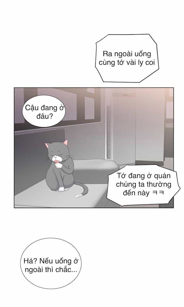 Idol Và Sếp Em Yêu Ai? - Chương 32 - ảnh 28