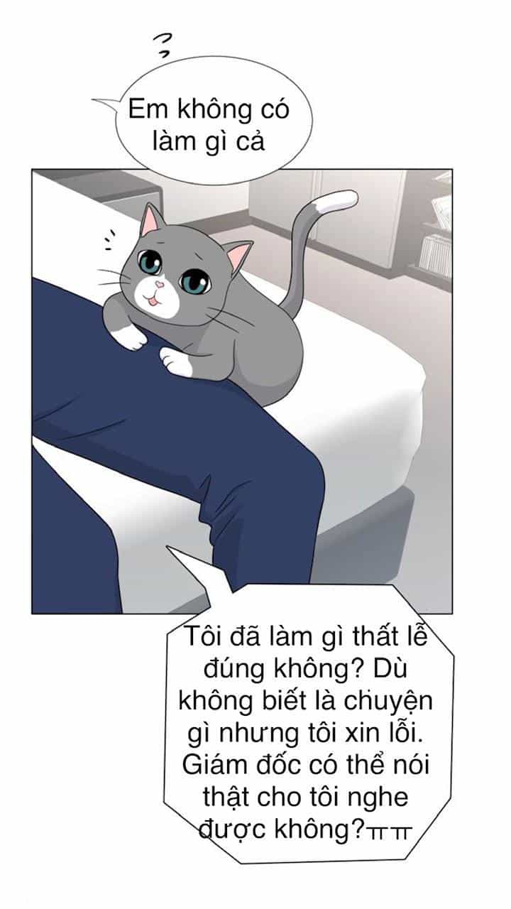 Idol Và Sếp Em Yêu Ai? - Chương 48 - ảnh 24