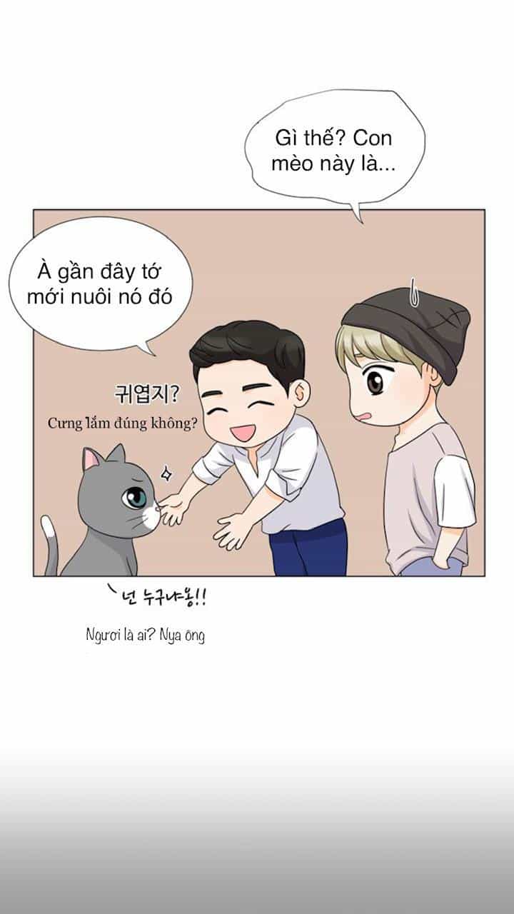 Idol Và Sếp Em Yêu Ai? - Chương 51 - ảnh 33