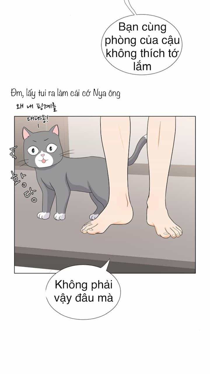 Idol Và Sếp Em Yêu Ai? - Chương 52 - ảnh 23