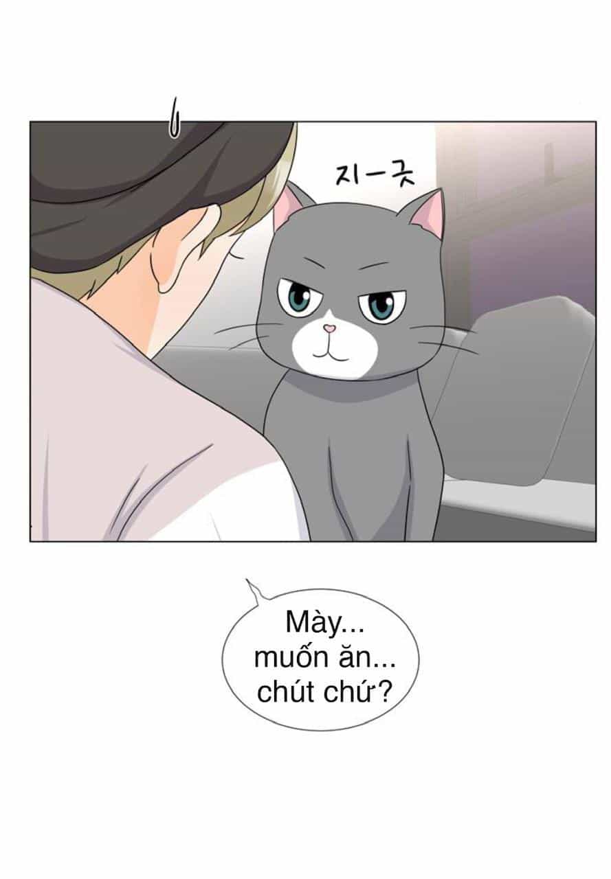 Idol Và Sếp Em Yêu Ai? - Chương 52 - ảnh 3