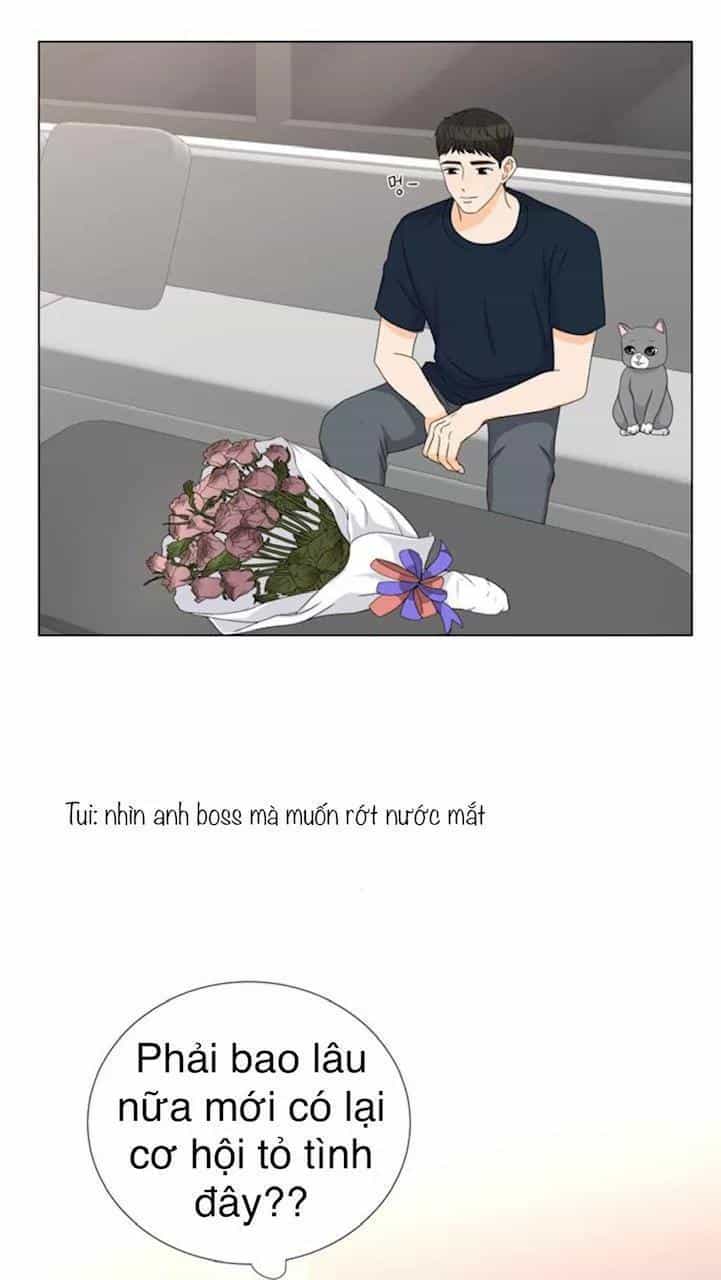 Idol Và Sếp Em Yêu Ai? - Chương 53 - ảnh 26