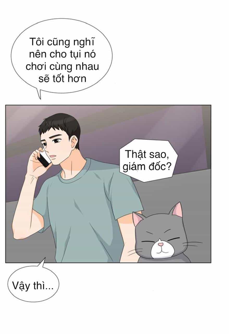 Idol Và Sếp Em Yêu Ai? - Chương 68 - ảnh 24