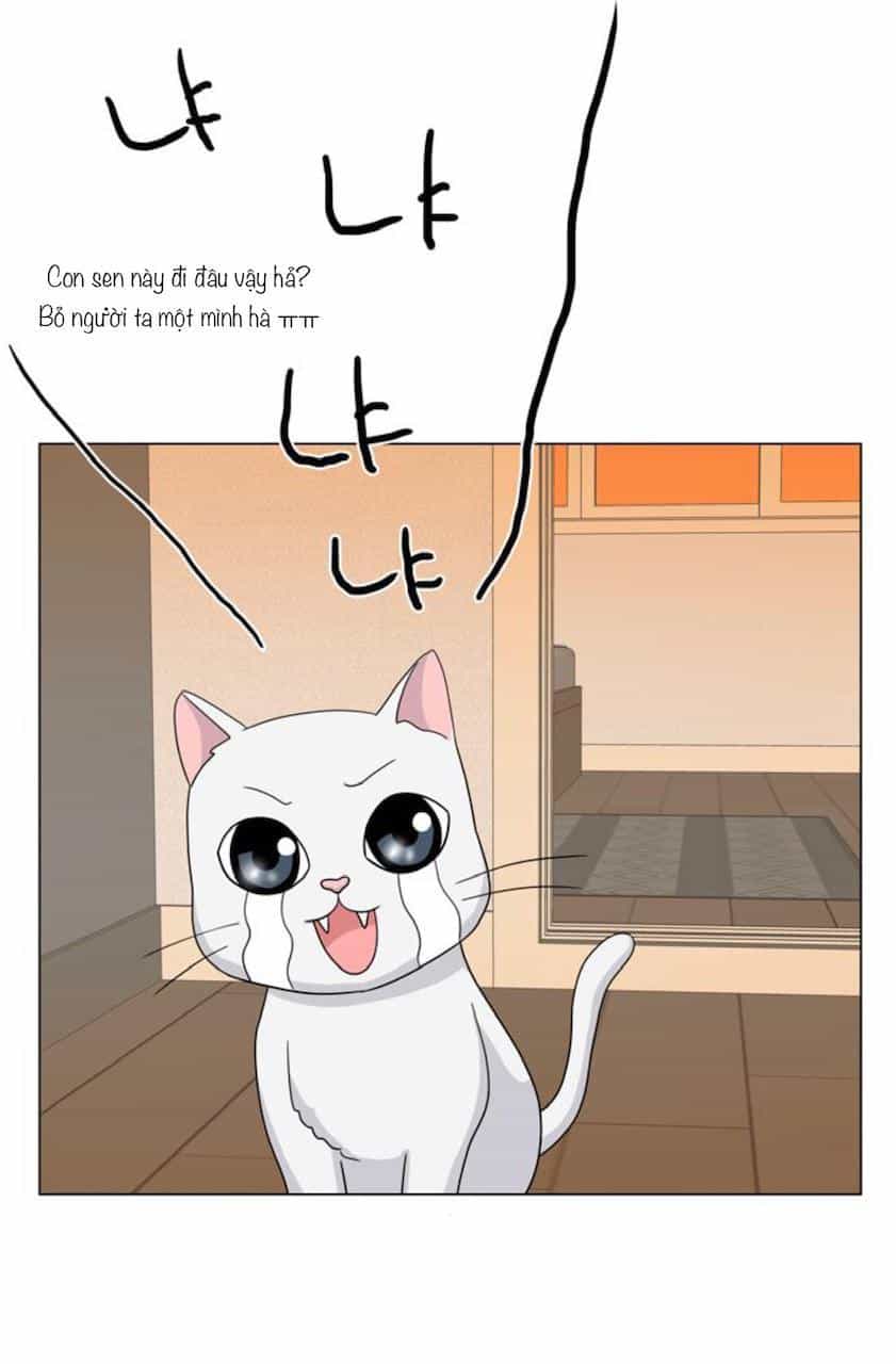 Idol Và Sếp Em Yêu Ai? - Chương 68 - ảnh 5