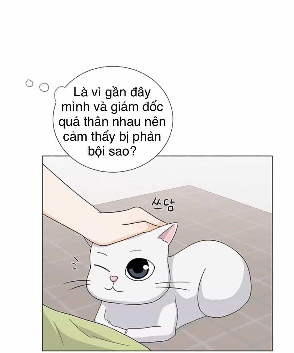 Idol Và Sếp Em Yêu Ai? - Chương 76 - ảnh 8