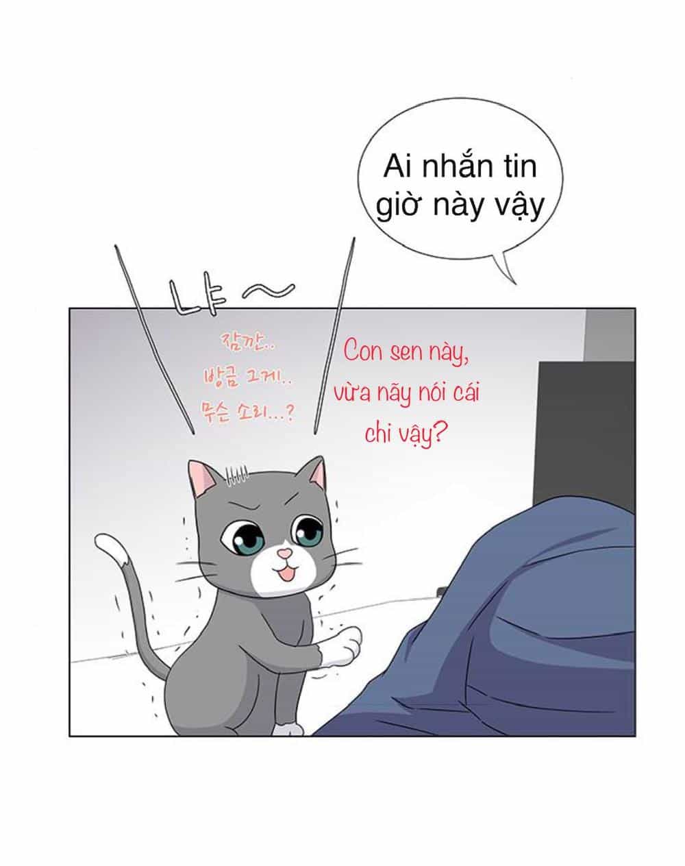 Idol Và Sếp Em Yêu Ai? - Chương 77 - ảnh 19