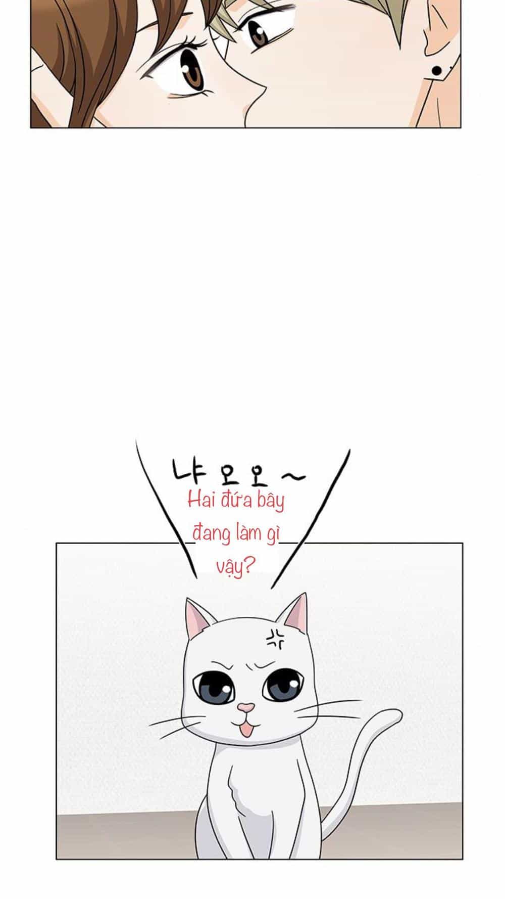 Idol Và Sếp Em Yêu Ai? - Chương 86 - ảnh 16