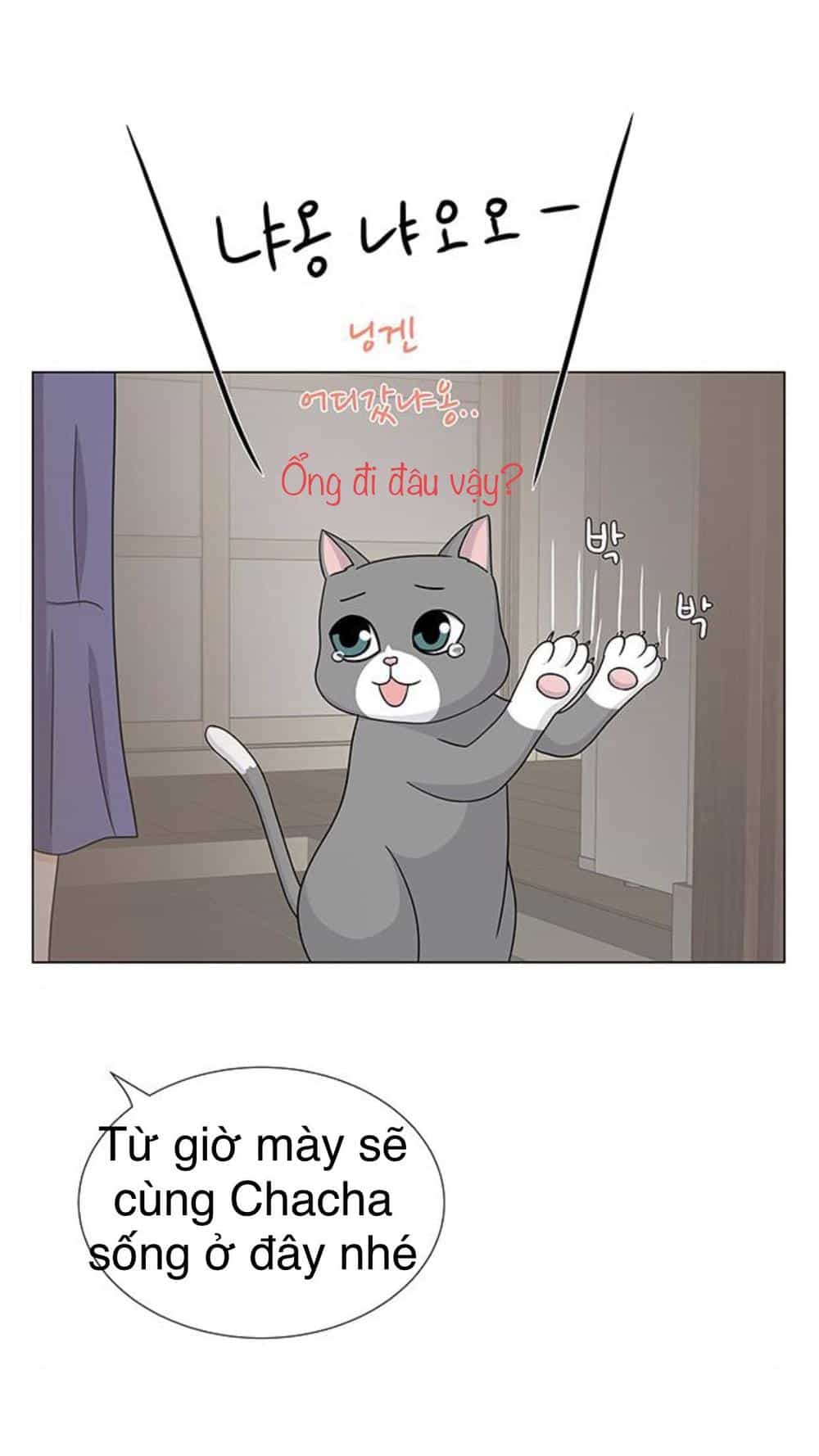 Idol Và Sếp Em Yêu Ai? - Chương 91 - ảnh 40
