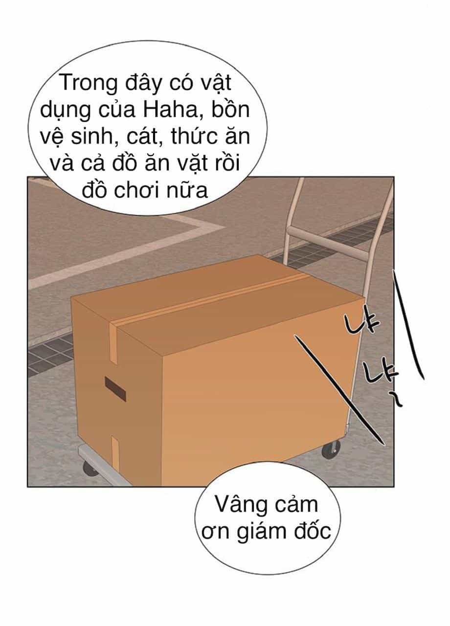 Idol Và Sếp Em Yêu Ai? - Chương 91 - ảnh 5