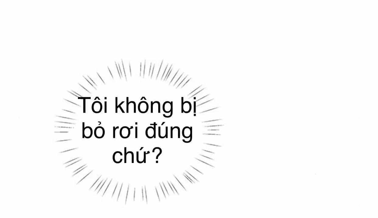 Idol Và Sếp Em Yêu Ai? - Chương 98 - ảnh 42