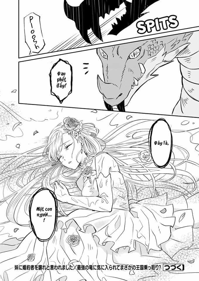 Imouto Ni Fiancee Wo Yuzure To Iwaremashita, Saikyou No Ryuu Ni Kiniirarete Masakano Okoku Nottori? - Chương 1 - ảnh 25