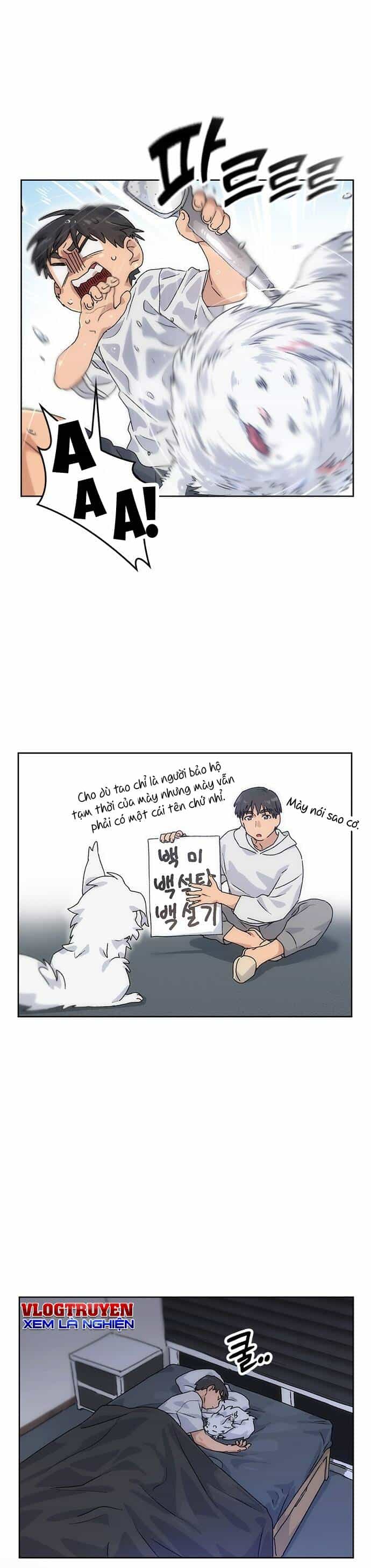 Isekai Camping - Chương 2 - ảnh 20