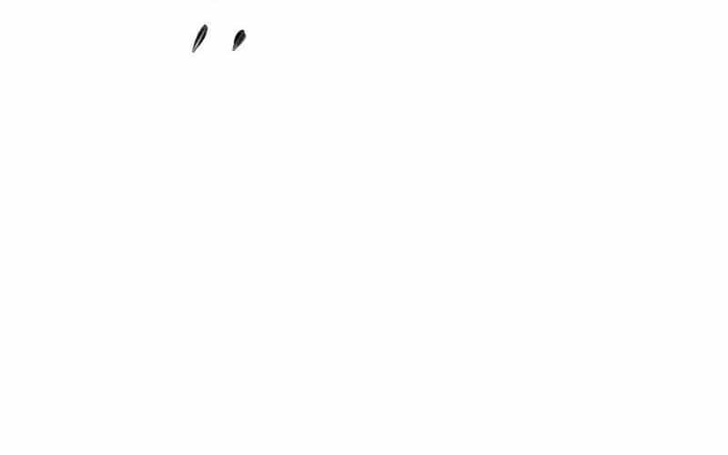 Kẻ Báo Thù Hoàn Hảo - Chương 13 - ảnh 46