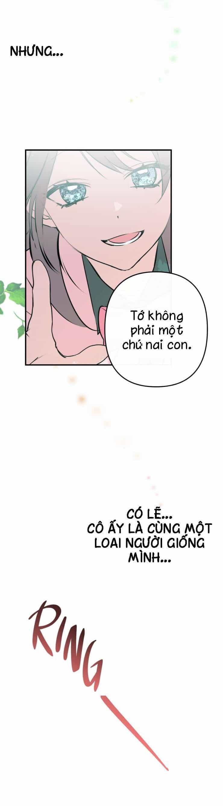 Kẻ Chinh Phục Trái Tim - Chương 5 - ảnh 21