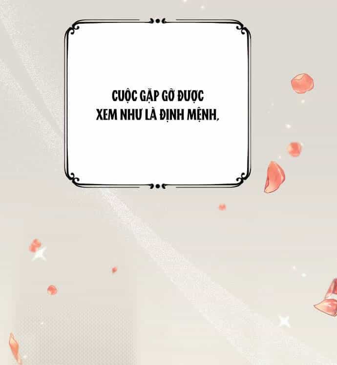 Kẻ Cưỡng Bức Yêu Quý Của Tôi - Chương 1.1 - ảnh 35