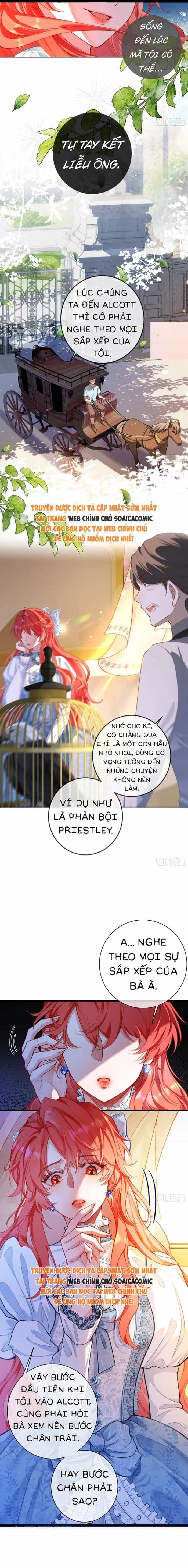 Kế Độc Của Hầu Gái - Chương 1 - ảnh 12