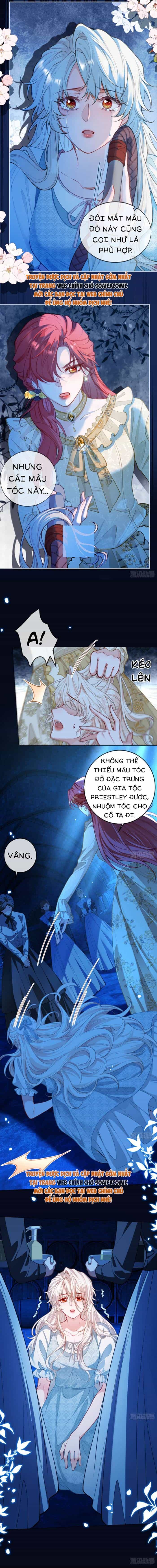 Kế Độc Của Hầu Gái - Chương 1 - ảnh 8