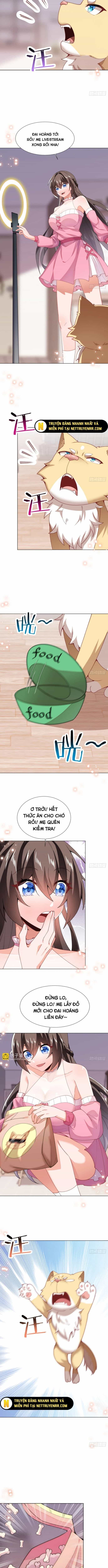 Kế Hoạch Bồi Dưỡng Streamer Của Cẩu Hoàng - Chương 14 - ảnh 8