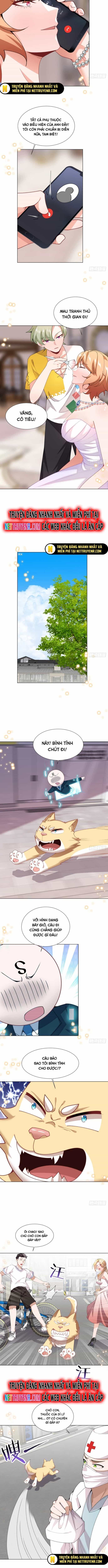 Kế Hoạch Bồi Dưỡng Streamer Của Cẩu Hoàng - Chương 15 - ảnh 7