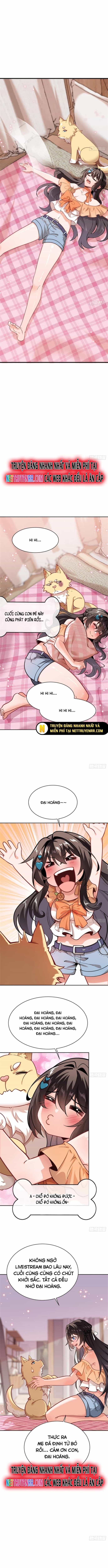 Kế Hoạch Bồi Dưỡng Streamer Của Cẩu Hoàng - Chương 2 - ảnh 4