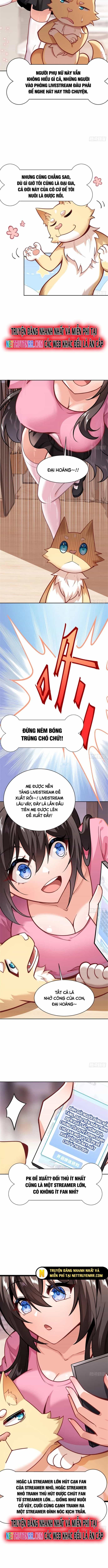 Kế Hoạch Bồi Dưỡng Streamer Của Cẩu Hoàng - Chương 3 - ảnh 3