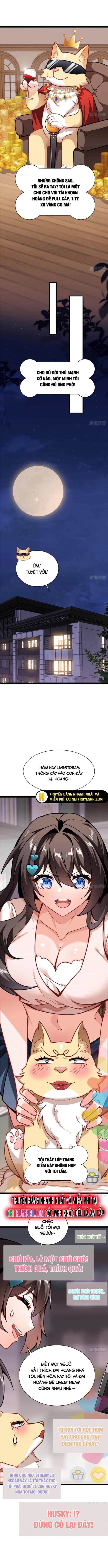 Kế Hoạch Bồi Dưỡng Streamer Của Cẩu Hoàng - Chương 3 - ảnh 4