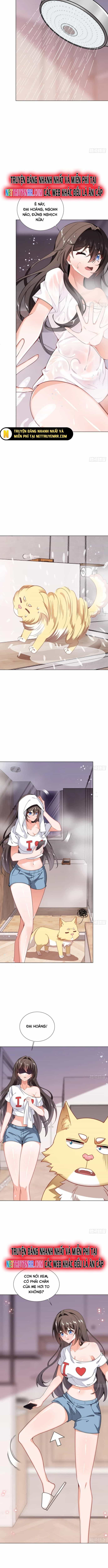 Kế Hoạch Bồi Dưỡng Streamer Của Cẩu Hoàng - Chương 4 - ảnh 3
