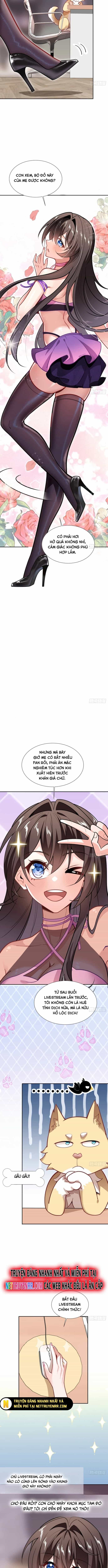 Kế Hoạch Bồi Dưỡng Streamer Của Cẩu Hoàng - Chương 5 - ảnh 4