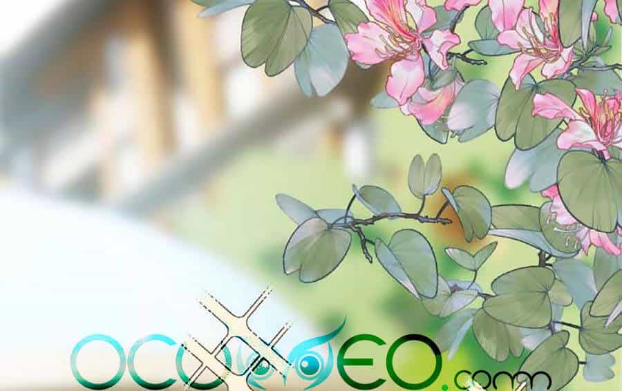Kế Hoạch Công Lược Của Cô Vợ Gả Thay - Chương 31 - ảnh 25