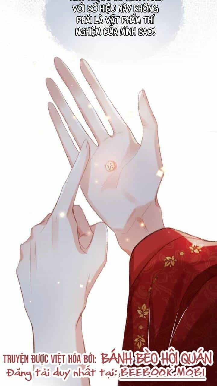 Kế Hoạch Nuôi Dưỡng Bệnh Kiều Vương Gia - Chương 1 - ảnh 44