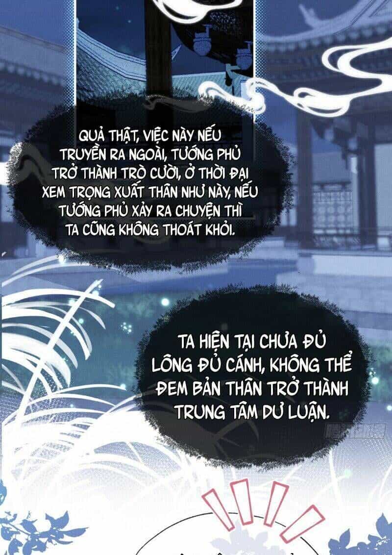 Kế Hoạch Nuôi Dưỡng Bệnh Kiều Vương Gia - Chương 13 - ảnh 30