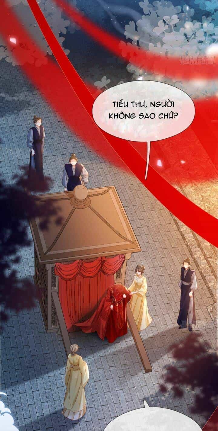 Kế Hoạch Nuôi Dưỡng Bệnh Kiều Vương Gia - Chương 2 - ảnh 5