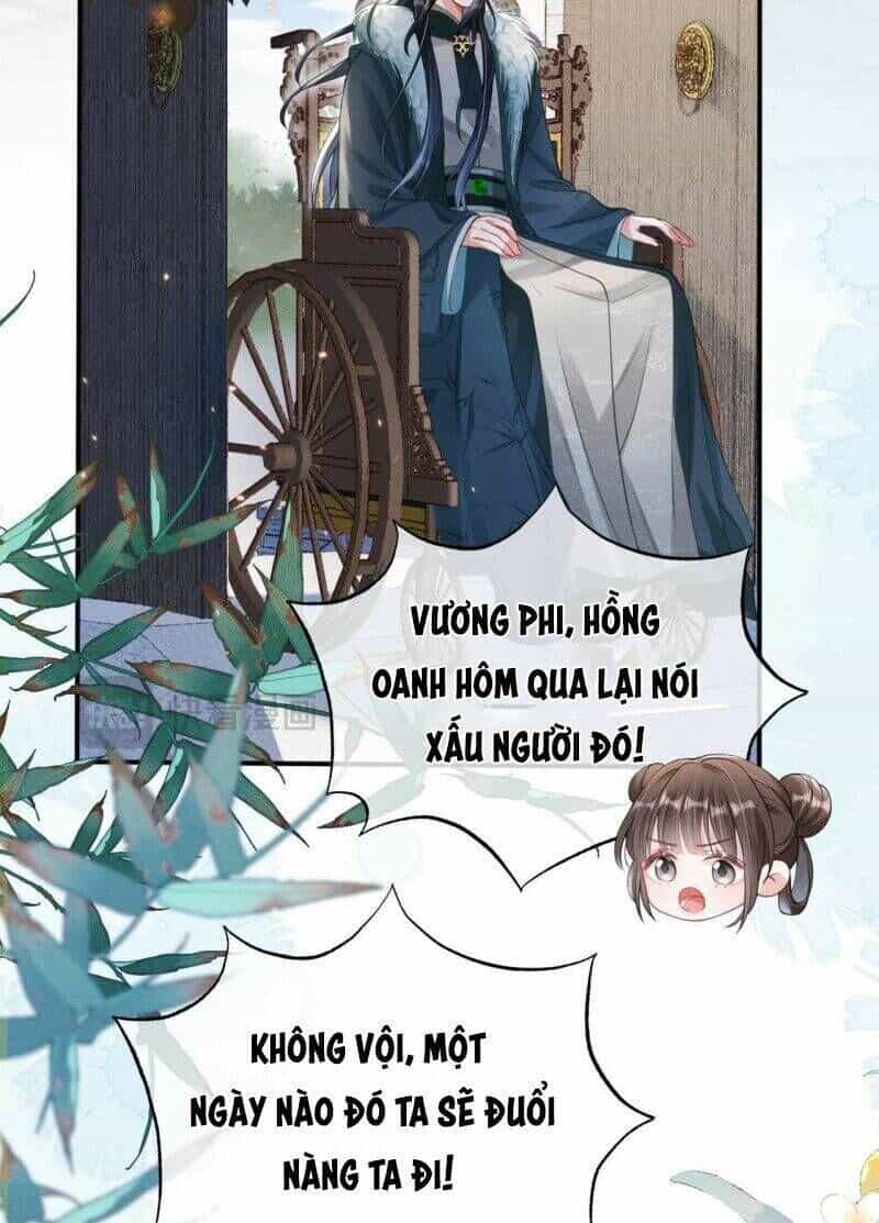 Kế Hoạch Nuôi Dưỡng Bệnh Kiều Vương Gia - Chương 20 - ảnh 10