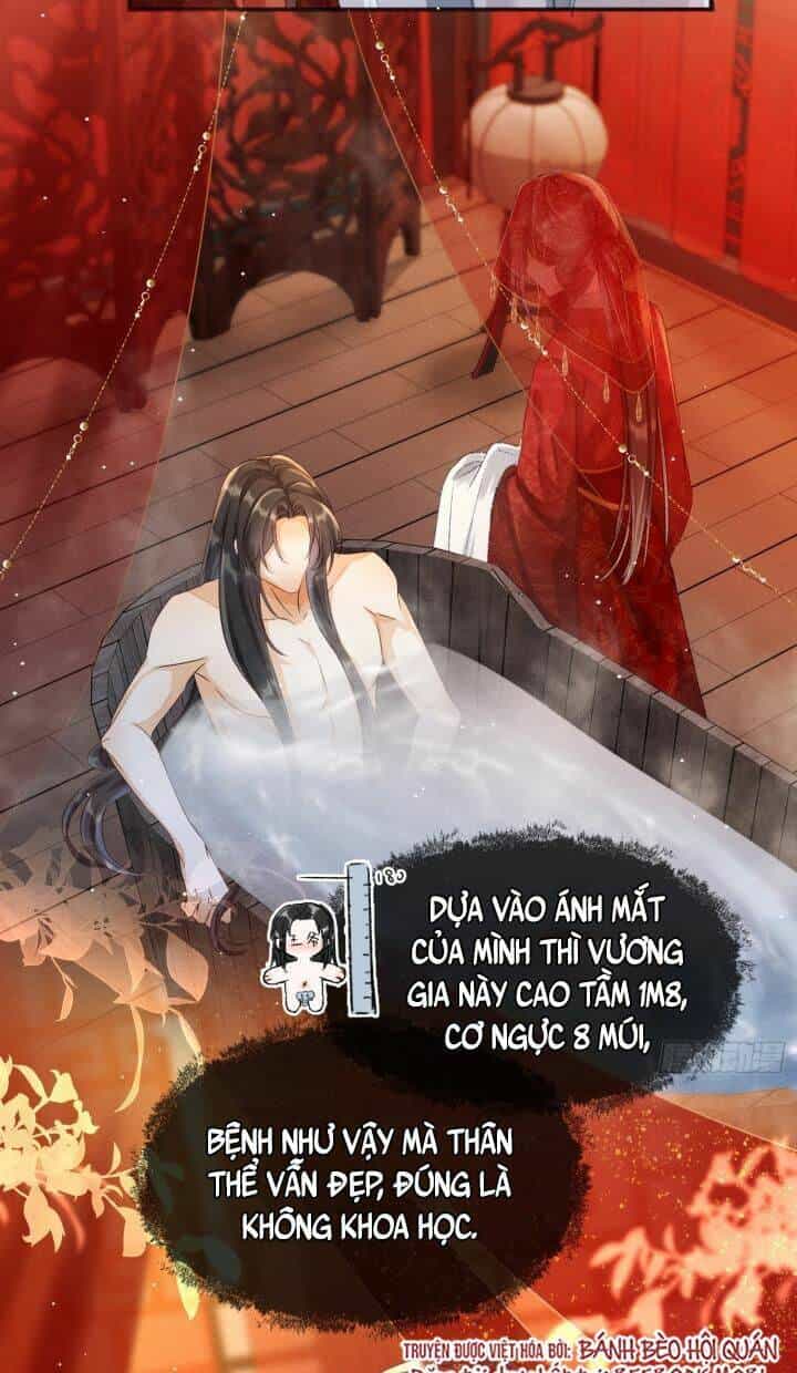 Kế Hoạch Nuôi Dưỡng Bệnh Kiều Vương Gia - Chương 3 - ảnh 19