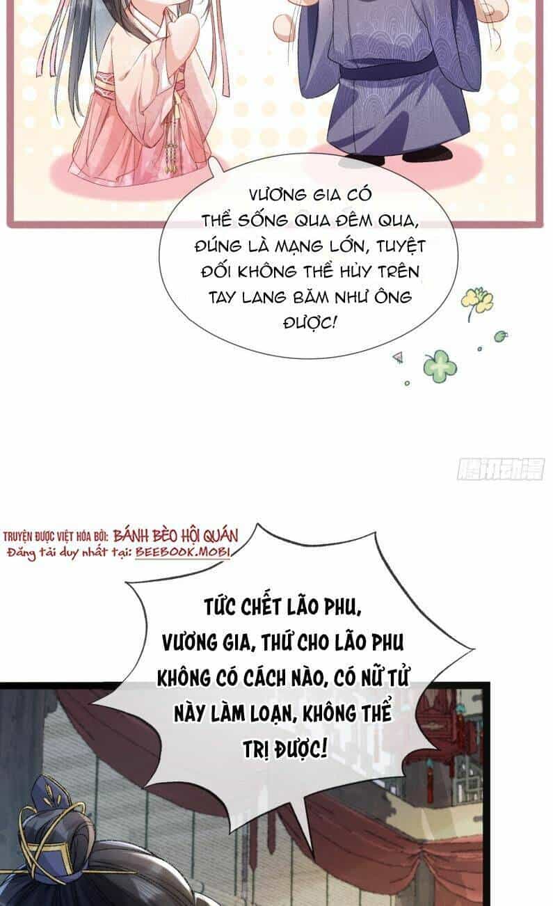 Kế Hoạch Nuôi Dưỡng Bệnh Kiều Vương Gia - Chương 5 - ảnh 29