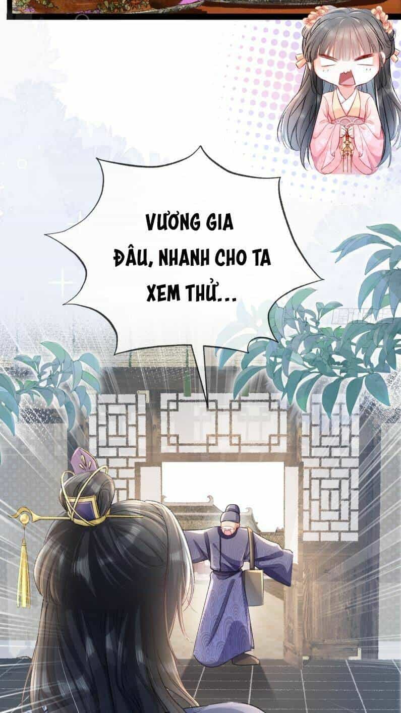 Kế Hoạch Nuôi Dưỡng Bệnh Kiều Vương Gia - Chương 5 - ảnh 3