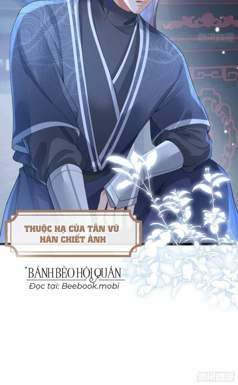 Kế Hoạch Nuôi Dưỡng Bệnh Kiều Vương Gia - Chương 8 - ảnh 37
