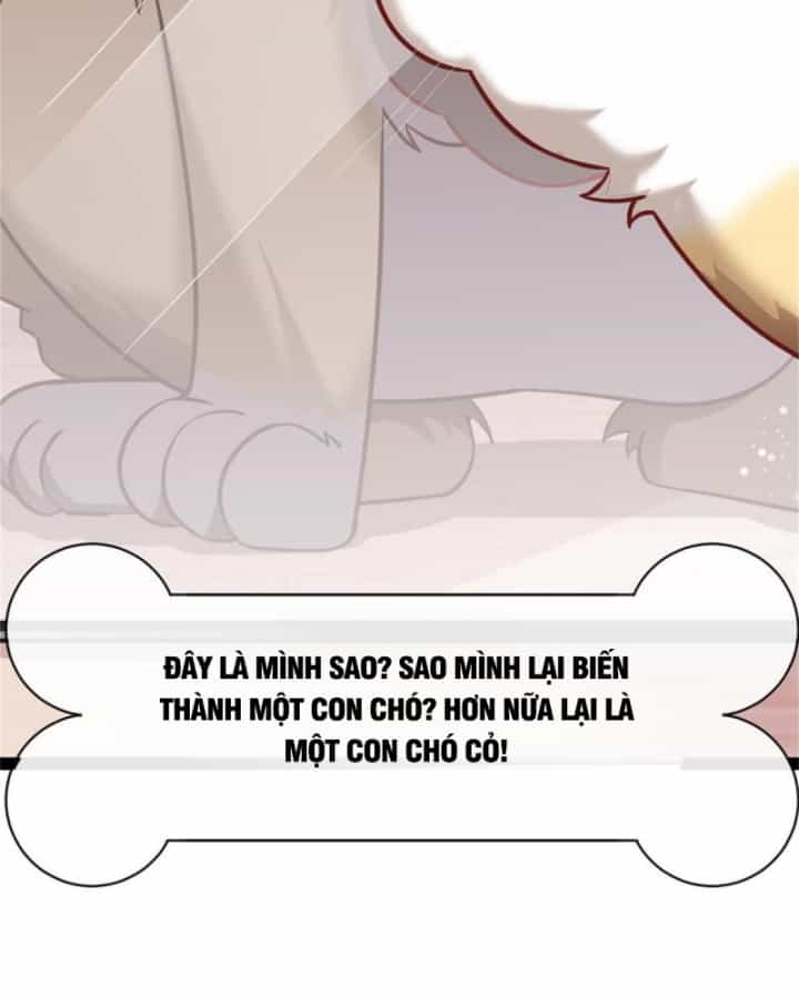 Kế Hoạch Nuôi Dưỡng Streamer Của Cẩu Hoàng - Chương 1 - ảnh 25